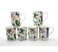 SET OF 6 FINE BONE CHINA WOODLAND BUTTERFLY MUGS