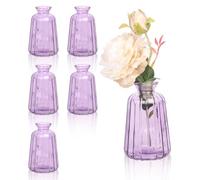 Set of 6 Glass Bud Vases for Flowers, Small Purple Flower Vases for Table Decorations