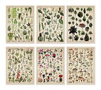 Set of 6 Plant Poster Vintage Botanical Prints 12 x 16 Inch Decorative Wrap Poster Tree Wall Art Picture Vintage Mushroom Decor Floral Nature Poster for Wall Cactus Posters Prints