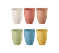 SET OF 6 TUMBLERS "TIERRA"