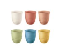 SET OF 6 TUMBLERS "TIERRA" Low