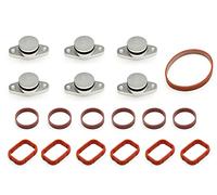 Set of 6 x 22mm Swirl Flap Delete Blanking Kit And Gaskets Compatible With BMW M47 M57 E53 E46 E60 E53 Diesel Engines