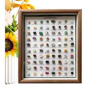 Set of 80 Precious Rocks of Rock Collection - Collection of Crystals, Rocks and Minerals | Versatile Home Decor, Classic Rude Wood Frame Crystal for Women Men