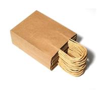 Set of Bulk Brown Paper Bags with Handles for Shopping and Craft Projects, Made from Recycled Paper, Sturdy Bottom Design, Reusable and Compostable, for Multiple Uses (Brown21*11 * 27CM)