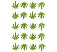 Set of Cannabis Temporary Tattoo marijuana plant leaf patch Weed Waterproof hemp Rasta body art (1PC)