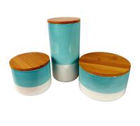 Leaf Set Of Three Canisters Aqua Green Ceramic Storage Jars With Lids