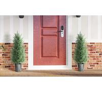 Set of Two HomCom Artificial Cypress Trees with PE Leaves for Indoor and Outdoor Use