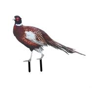 Set of two outdoor acrylic garden stakes with realistic pheasant rooster design suitable for lawn yard and flowerpot decoration (A)