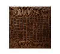 Set of Two Placemats - Vintage Croc Posh Trading Company Brown One Size