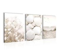 Set of Wall Pictures Shells - Completely Ready to Hang - Modern Collage Sand - Living Room Bedroom - N001735a