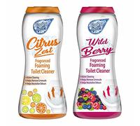 Set of Wild Berry + Citrus Zest Foaming Toilet Cleaner Amazing Fragrance Deep Cleaning Action Powder Cleaning Foam and Extra Freshness Toilet Cleaner (370g)