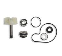 Tecnium Mf5-8000 Suzuki Burgman Water Pump Rebuild Kit Silver