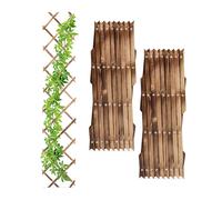 Set Wood Brown Frame Panel Climbing Extendable Trellis 30x180cm Plant Support