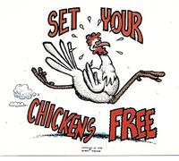 Set Your Chickens Free