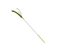Setaria Grass Teasing Rod For Fun Interactive Play Kitten Wand Toy Felines Fitness Fishing Wand Fun Exercise Interactive Cats For Indoor