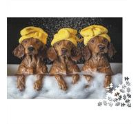 Setter Dog Sitting in Bathtub Rätsel Für Erwachsene |Soapy Water| 1000pcs (75x50cm) Puzzles Lernspiele Home Decor Puzzles