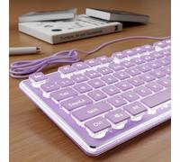 SEUNKWANG EWEADN V3 Backlit Computer Keyboards, Wired USB Keyboard with White Backlit, Metal Panel, Plug and Play, Pudding Keycaps Full Size Quite Computer Keyboard for Win/PC/Laptop-Purple