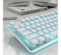 SEUNKWANG GX710S Backlit Computer Keyboards, Wired USB Keyboard with Blue Backlit, Metal Panel, Plug and Play, Pudding Keycaps Full Size Quite Computer Keyboard for Win/PC/Laptop-White