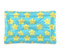 Sevdomey Adorable Stars Pet Pads Dog Bed Cat Bed Kennel Bed Crate Mattress, Washable Soft Comfortable Pet Bed Pad with Non-Slip Bottom for Small Medium Large Dogs Cats, 45x60 cm