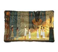 Sevdomey Ancient Egyptian Pharaohs Pet Pads Dog Bed Cat Bed Kennel Bed Crate Mattress, Washable Soft Comfortable Pet Bed Pad with Non-Slip Bottom for Small Medium Large Dogs Cats, 45x60 cm