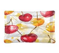 Sevdomey Cherries Pet Pads Dog Bed Cat Bed Kennel Bed Crate Mattress, Washable Soft Comfortable Pet Bed Pad with Non-Slip Bottom for Small Medium Large Dogs Cats, 45x60 cm