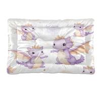 Sevdomey Cute Dragon Pet Pads Dog Bed Cat Bed Kennel Bed Crate Mattress, Washable Soft Comfortable Pet Bed Pad with Non-Slip Bottom for Small Medium Large Dogs Cats, 60x90 cm