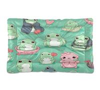 Sevdomey Cute Frog Pet Pads Dog Bed Cat Bed Kennel Bed Crate Mattress, Washable Soft Comfortable Pet Bed Pad with Non-Slip Bottom for Small Medium Large Dogs Cats, 45x60 cm