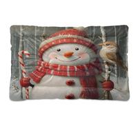 Sevdomey Cute Snowman Pet Pads Dog Bed Cat Bed Kennel Bed Crate Mattress, Washable Soft Comfortable Pet Bed Pad with Non-Slip Bottom for Small Medium Large Dogs Cats, 45x60 cm