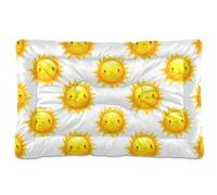 Sevdomey Cute Suns Pet Pads Kennel Bed Crate Mattress, Washable Soft Comfortable Pet Bed Pad with Non-Slip Bottom for Small Medium Large Dogs Cats, 45x60 cm