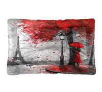 Sevdomey Eiffel Tower Paris Pet Pads Dog Bed Cat Bed Kennel Bed Crate Mattress, Washable Soft Comfortable Pet Bed Pad with Non-Slip Bottom for Small Medium Large Dogs Cats, 45x60 cm