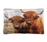 Sevdomey Highland Cows Pet Pads Dog Bed Cat Bed Kennel Bed Crate Mattress, Washable Soft Comfortable Pet Bed Pad with Non-Slip Bottom for Small Medium Large Dogs Cats, 45x60 cm
