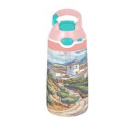 Sevdomey Landscape with Olive Groves Kids Water Bottle with Straw for Girls Boys, Stainless Steel Insulated Leakproof Water 480ml for School Nursery Travel Sports