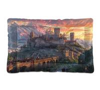 Sevdomey Medieval Fantasy Road Pet Pads Dog Bed Cat Bed Kennel Bed Crate Mattress, Washable Soft Comfortable Pet Bed Pad with Non-Slip Bottom for Small Medium Large Dogs Cats, 45x60 cm