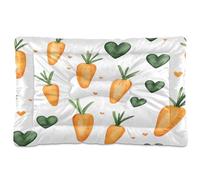 Sevdomey Orange Carrots Pet Pads Dog Bed Cat Bed Kennel Bed Crate Mattress, Washable Soft Comfortable Pet Bed Pad with Non-Slip Bottom for Small Medium Large Dogs Cats, 60x90 cm