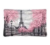 Sevdomey Paris Eiffel Tower Pet Pads Dog Bed Cat Bed Kennel Bed Crate Mattress, Washable Soft Comfortable Pet Bed Pad with Non-Slip Bottom for Small Medium Large Dogs Cats, 45x60 cm