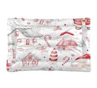 Sevdomey Watercolor Cute Santa Claus Pet Pads Dog Bed Cat Bed Kennel Bed Crate Mattress, Washable Soft Comfortable Pet Bed Pad with Non-Slip Bottom for Small Medium Large Dogs Cats, 45x60 cm