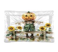 Sevdomey Watercolor Farmer Scarecrow Pet Pads Dog Bed Cat Bed Kennel Bed Crate Mattress, Washable Soft Comfortable Pet Bed Pad with Non-Slip Bottom for Small Medium Large Dogs Cats, 45x60 cm