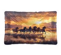 Sevdomey Wild Horses Running Pet Pads Dog Bed Cat Bed Kennel Bed Crate Mattress, Washable Soft Comfortable Pet Bed Pad with Non-Slip Bottom for Small Medium Large Dogs Cats, 60x90 cm