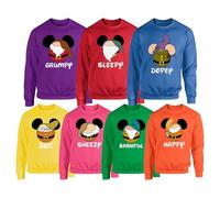 Seven 7 Dwarfs Sweatshirt - Cartoon Multiple Designs Happy Bashful Dopey Funny Costume Kids Adults Unisex Jumper Top(L, Red(Sleepy))