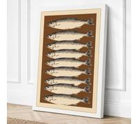 Seven Silvery Fish Botanical Canvas Wall Art Print 36x24 Inch (91 x 61 cm)