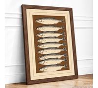 Seven Silvery Fish Botanical Framed Wall Art Print A2 (59.4×42cm) Walnut, Wall Decor for Living Room, Bedroom, Office & Home, Ready to Hang, Art Gift