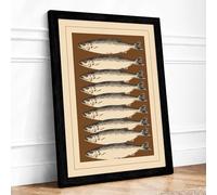 Seven Silvery Fish Botanical Framed Wall Art Print A4 (29.7×21cm) Black, Wall Decor for Living Room, Bedroom, Office & Home, Ready to Hang, Art Gift