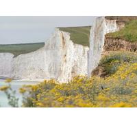 Seven Sisters and Brighton Tour