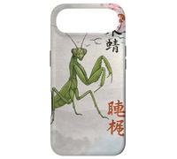 Seven Stars Praying Mantis Shaolin Kung Fu Case for iPhone Air
