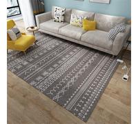 SEVOLY Heated Floor Carpet, Infrared Radiant Floor Heater with Timer Adjustable Thermostat,Electric Graphene Heated Area Rug,Heated Floor Mats for Living Room Bedroom Yoga,D,200x300cm