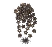 SEWACC 100 Set Vintage Upholstery Tacks Decorative Nails for Furniture Wood Sofa Cork Board DIY Projects Secure Hold Artistic Design