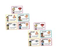 SEWACC 2 Sets Learning Flash Cards for Early Childhood Education Visual Stimulation Sensory Cards for Cognitive Development Preschool Educational Posters for Memory and Language Skills