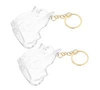 SEWACC 2pcs Transparent Pet Memorial Hair Box with Smile Pomeranian Design Portable Dog Hair Keepsake Organizer Capsule Keychain for Collecting Ashes Whiskers Beard Unique Handmade Memory