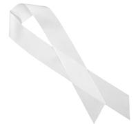 SEWACC 6pcs DIY blank sash polyester fabric glitter sash for women wedding party bridal shower occasions