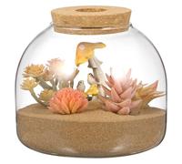 SEWACC Glass Terrarium Jar with Wood Stopper, Small Plant Terrarium Container for Hydroponic Plants, Micro Landscape Decoration for Home Office Table